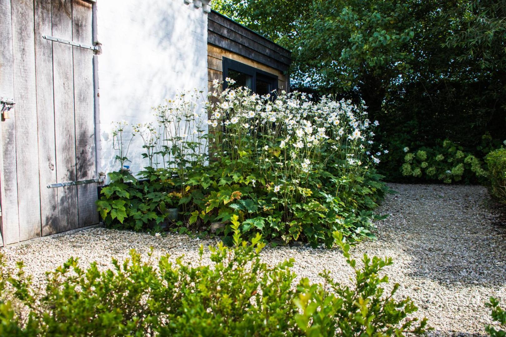 Bed and Breakfast Stee 23 Hertsberge Esterno foto